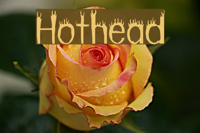 Hothead Font examples