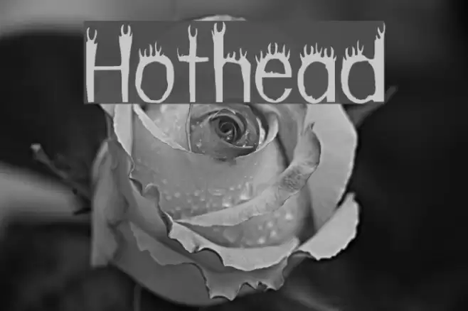 Hothead Caratteri examples