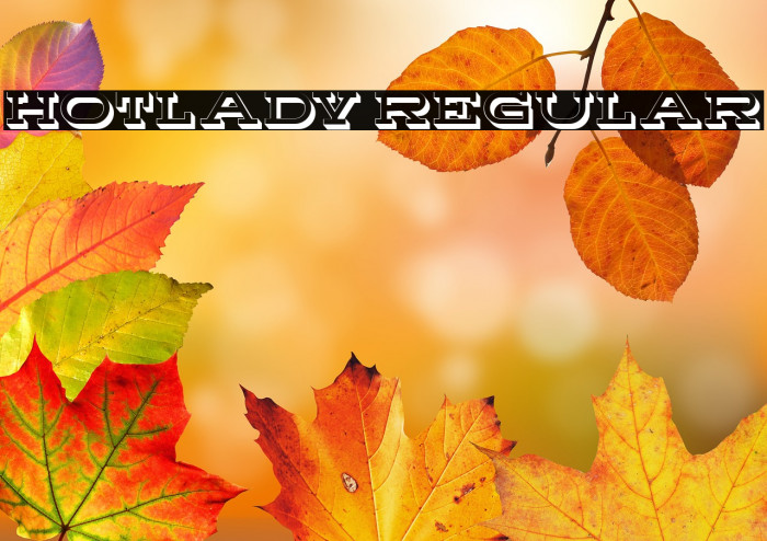 Hotlady Regular Example 1