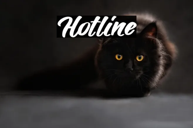 Hotline Example 1