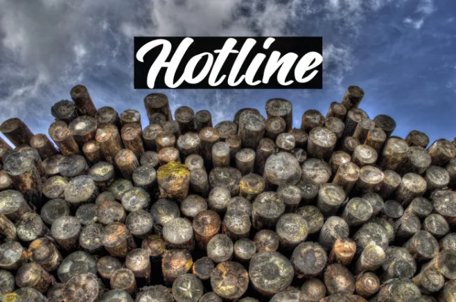 Hotline Example 2