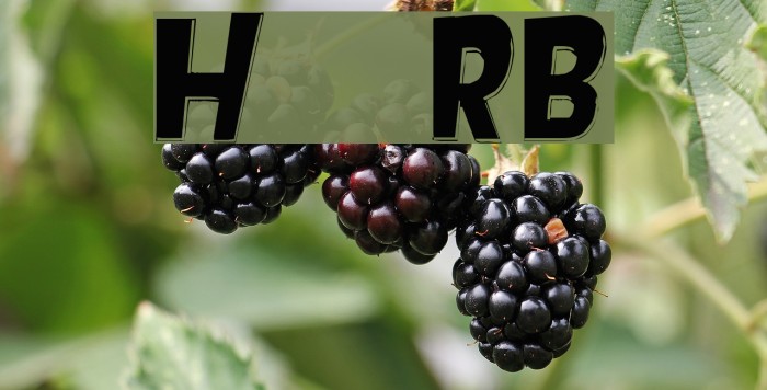 Hotplate [sRB] Example 2