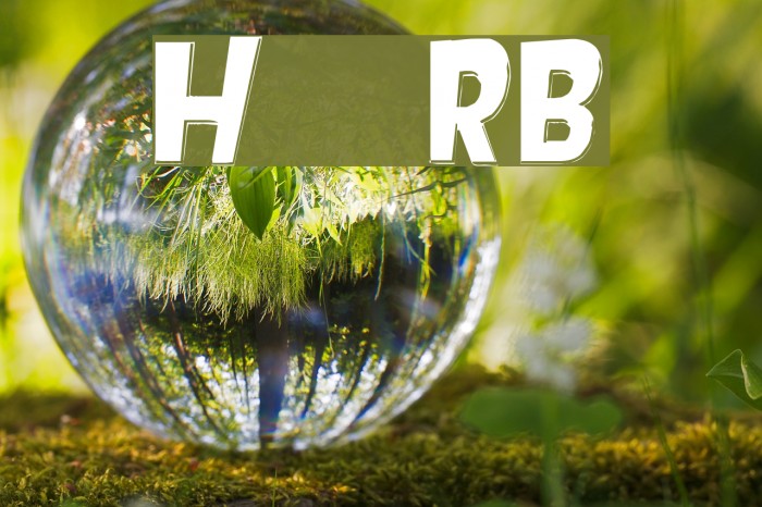 Hotplate [sRB] Example 3