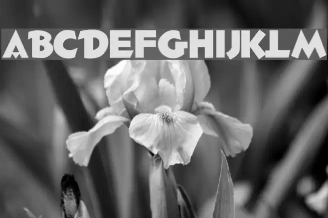 Hotshot Font examples