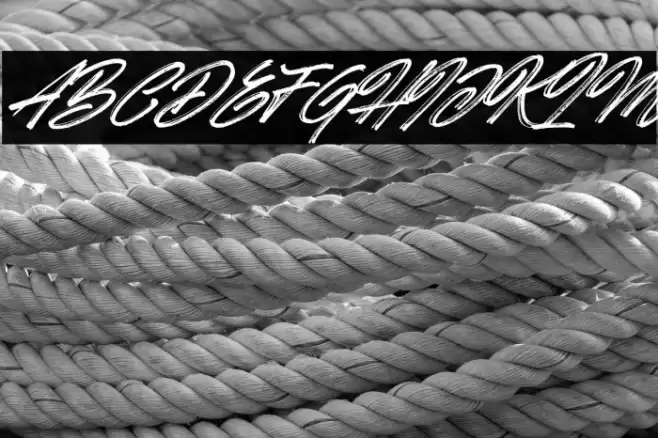 Hotte Brush Italic Font examples