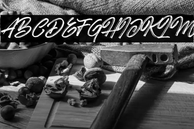 Hotte Brush Font examples