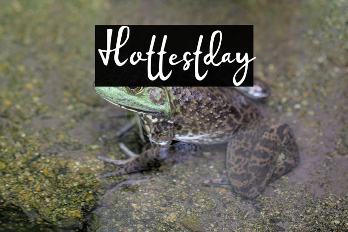 Hottestday Example 1