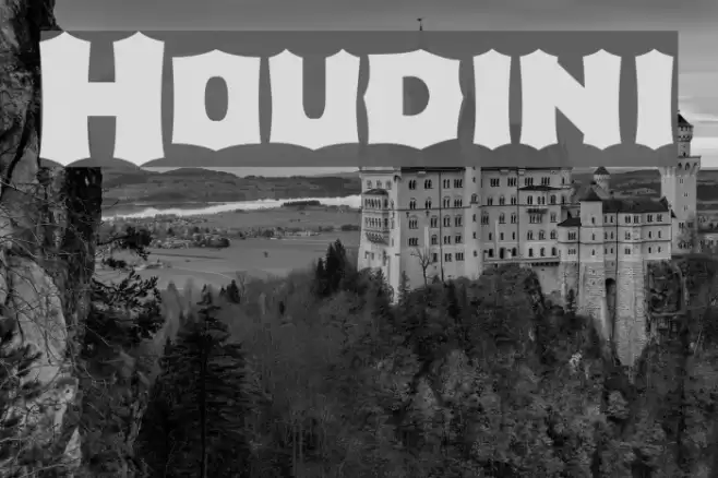 Houdini Fuentes examples