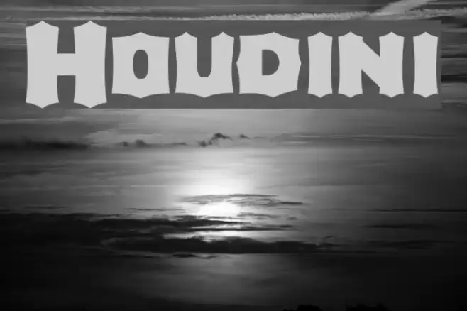 Houdini Fuentes examples