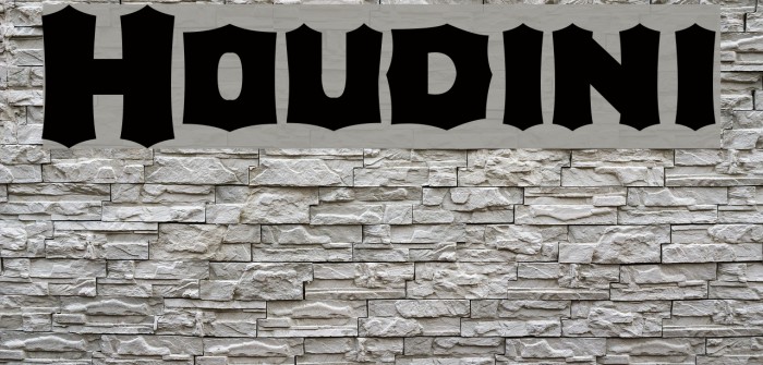 Houdini Polices examples