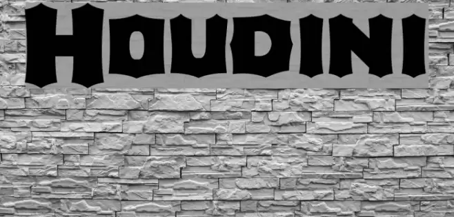 Houdini Fuentes examples