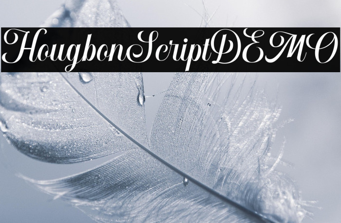 HougbonScriptDEMO Example 1