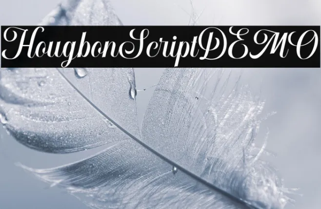 HougbonScriptDEMO Example 1