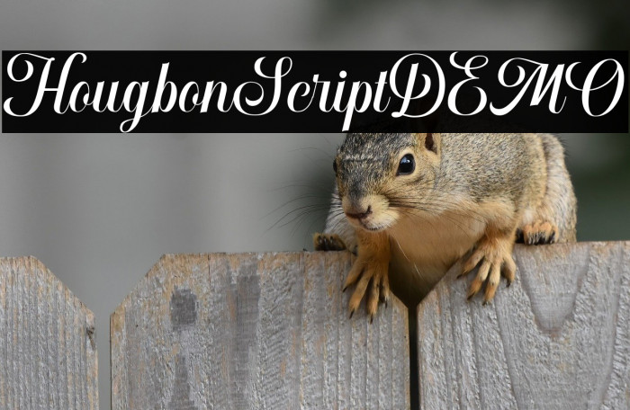 HougbonScriptDEMO Example 2