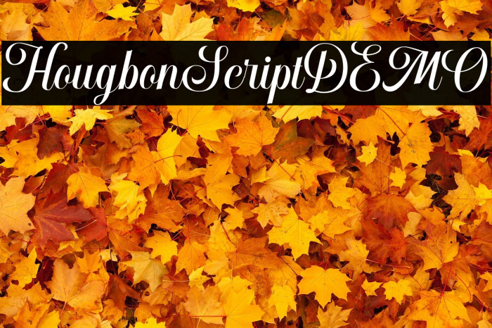 HougbonScriptDEMO Example 3