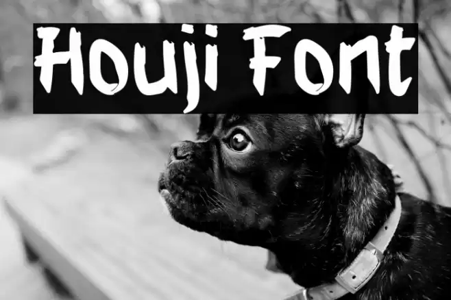 Houji Font examples