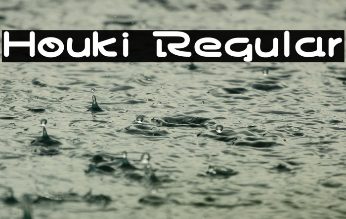 Houki Regular Example 2