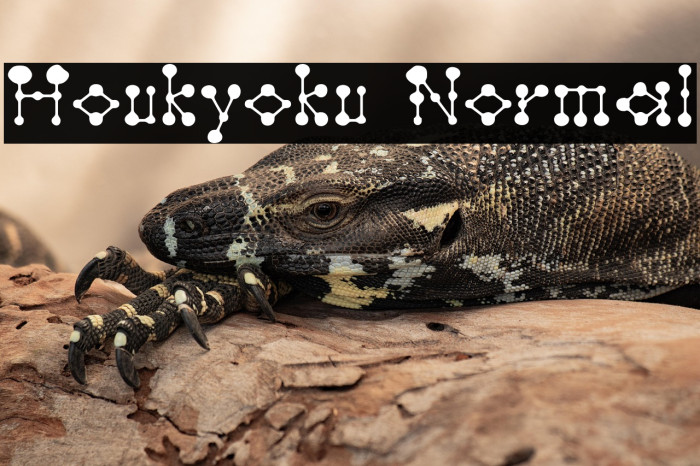 Houkyoku Normal Example 2