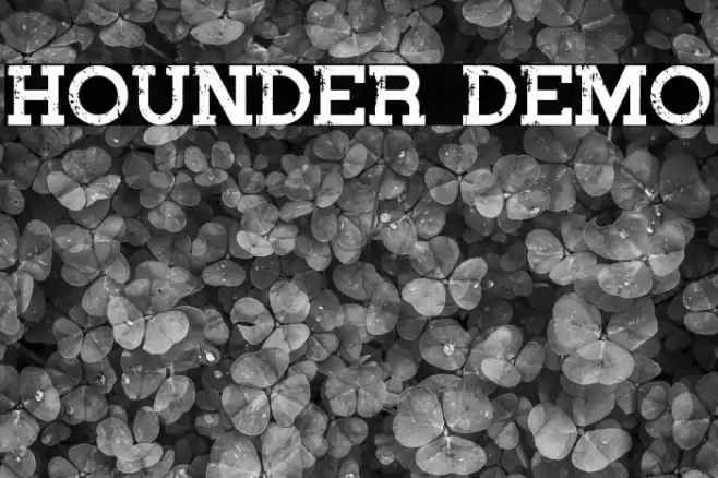 Hounder Demo Font examples