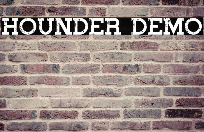 Hounder Demo Example 2