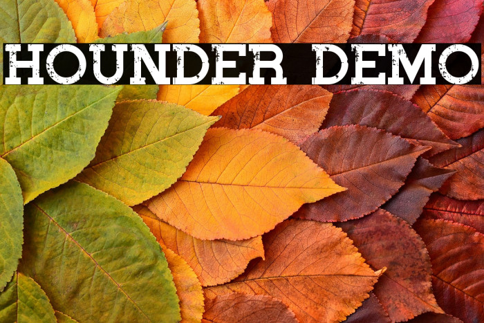 Hounder Demo Example 3