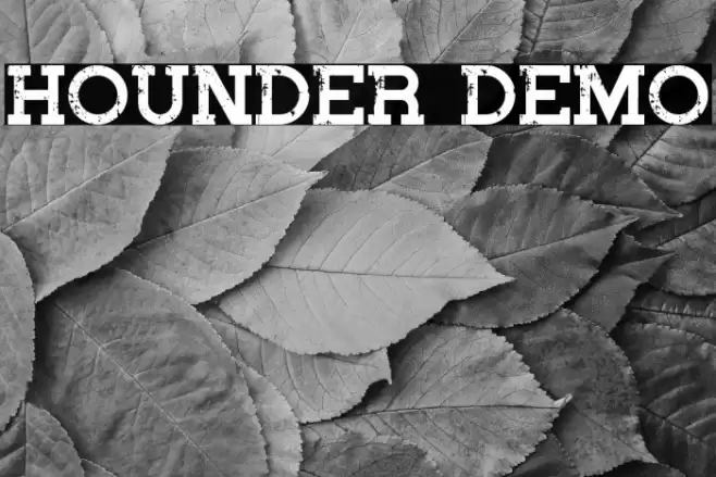 Hounder Demo Font examples