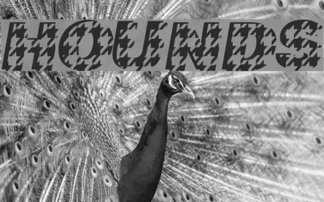 Hounds Font examples