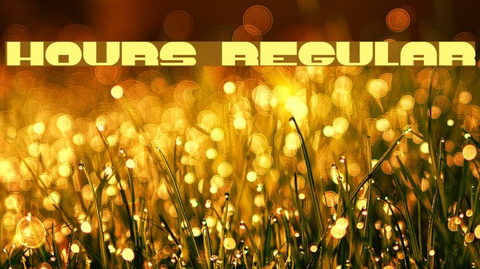 Hours Regular Font examples