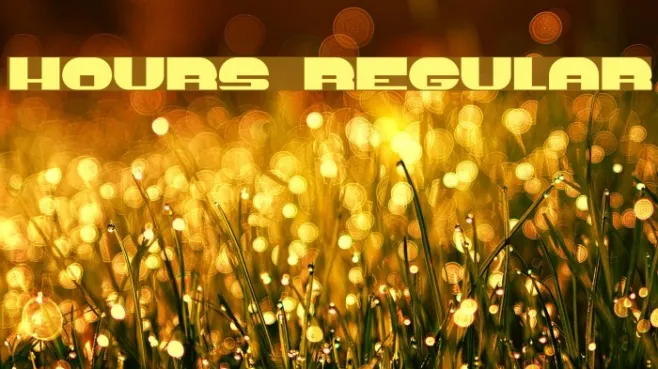 Hours Regular Example 3