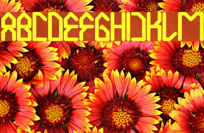 House Builder Bold Example 2