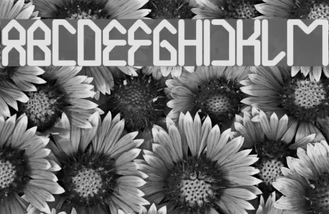 House Builder Bold Font examples