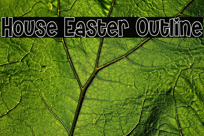 House Easter Outline Example 2