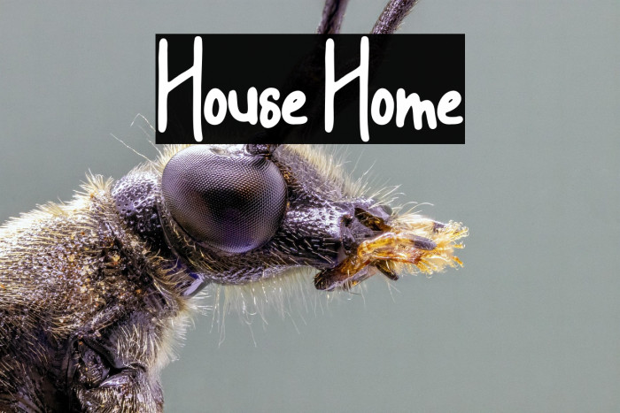 House Home Example 2