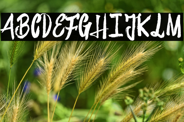 House Marker_PersonalUseOnly Example 3