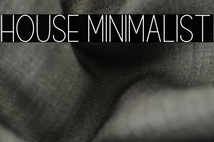 House Minimalist Example 1