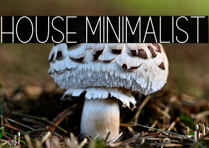 House Minimalist Example 3