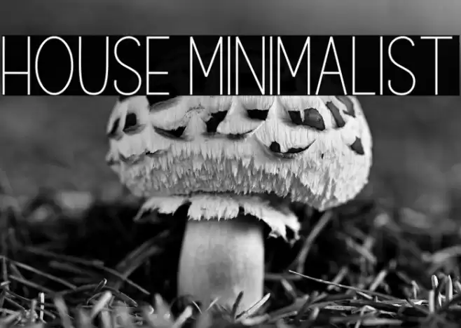 House Minimalist Font examples