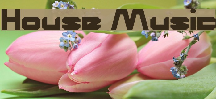 House Music Font examples