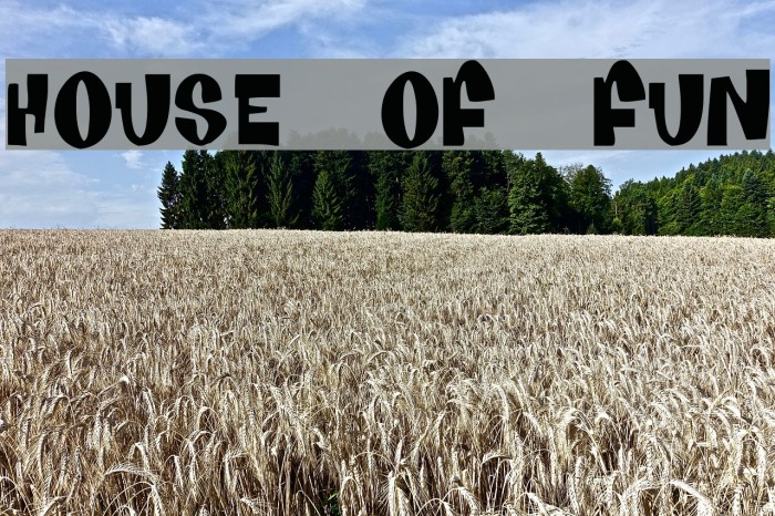 House Of Fun Шрифта examples