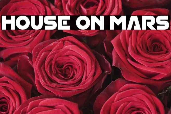 House On Mars Example 2
