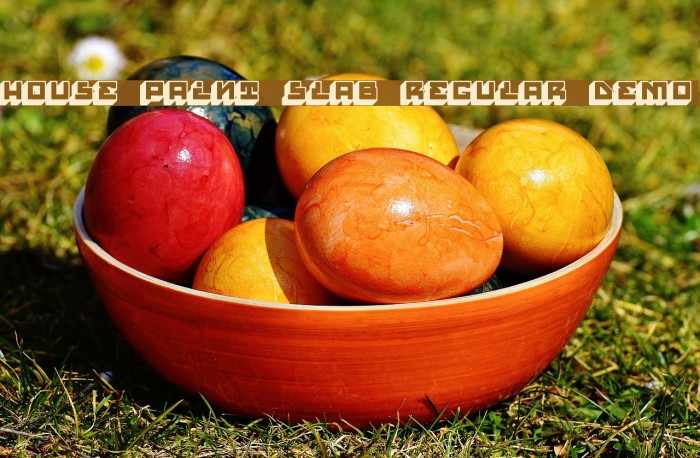 House Paint Slab Regular Demo Example 1