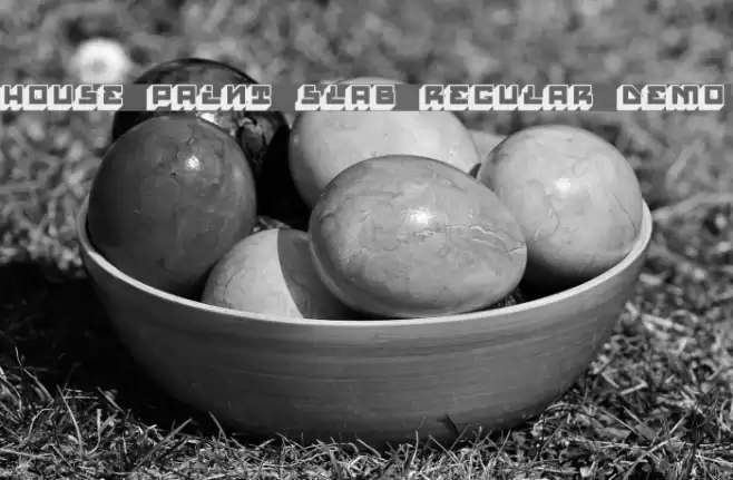 House Paint Slab Regular Demo Font examples