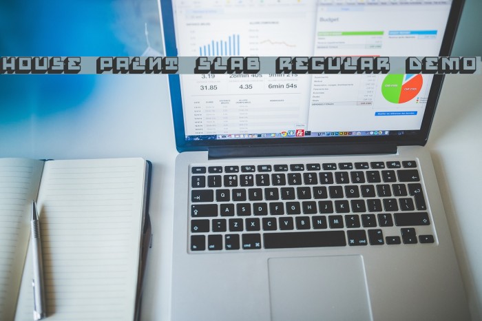 House Paint Slab Regular Demo Example 2