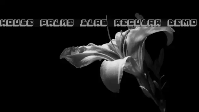 House Paint Slab Regular Demo Font examples