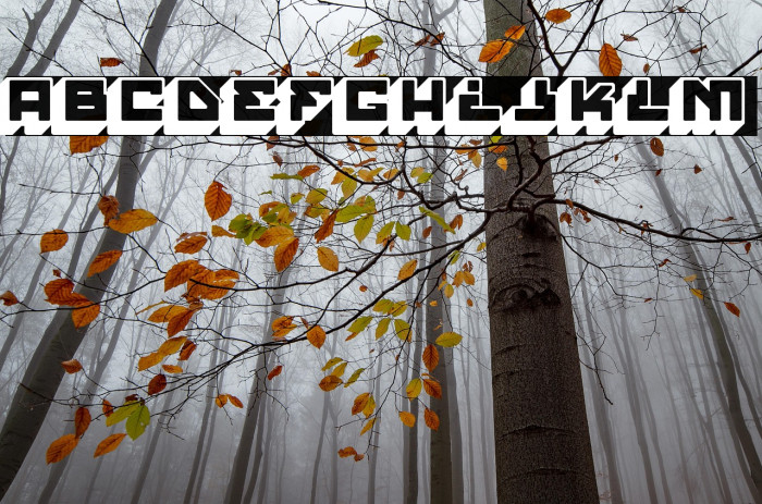 House Paint Slab Regular Example 1