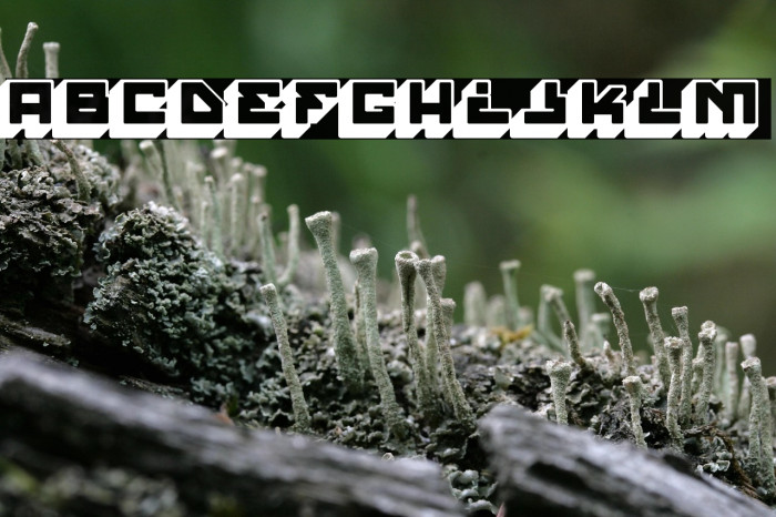 House Paint Slab Regular Example 2