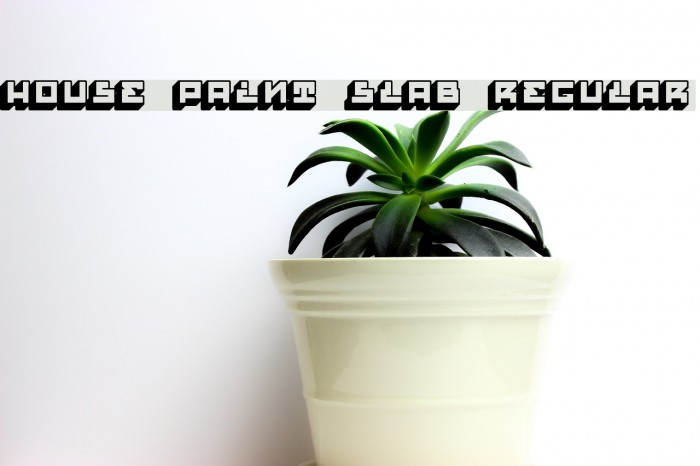 House Paint Slab Regular Font examples