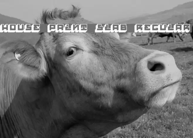 House Paint Slab Regular Font examples