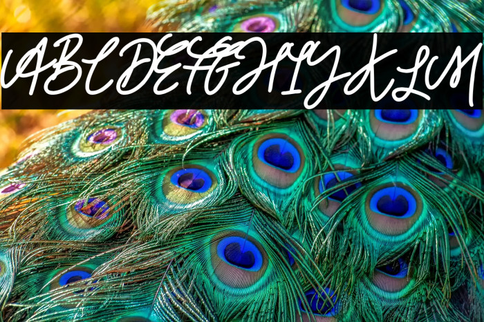 House Party Example 1