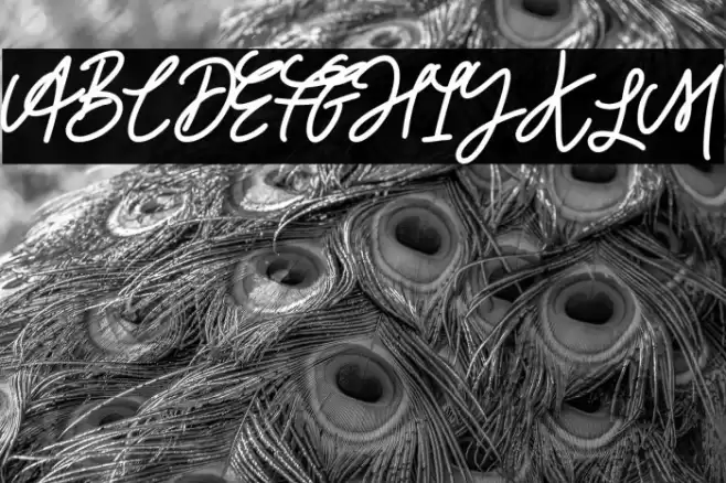 House Party Caratteri examples